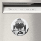 磁気南部ストリーマー マグネット (インサイチュ (食洗機))