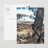 磁気島、ジオフリー湾、ヤングコアラ ポストカード (正面/裏面)