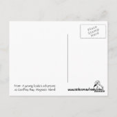 磁気島、ジオフリー湾、ヤングコアラ ポストカード (裏面)