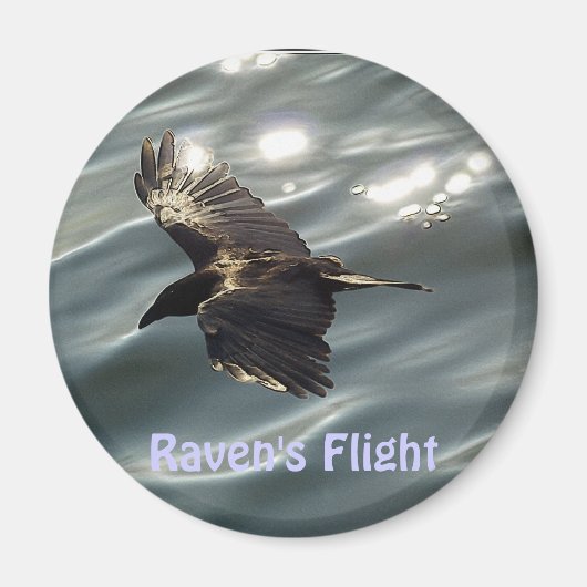 磁気魔法収集 マグネット (正面)