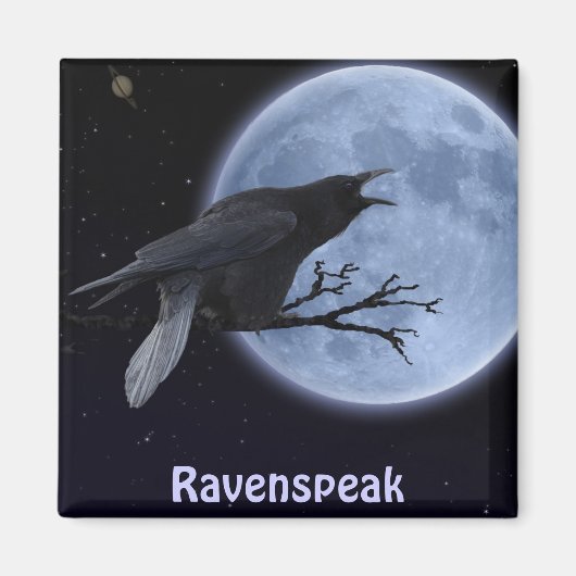 磁気魔法収集 マグネット (正面)