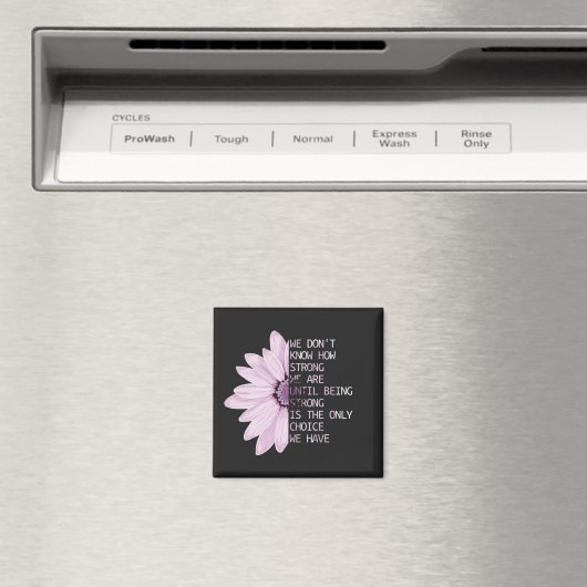 磁石がどれだけ強いか分からない マグネット (インサイチュ (食洗機))