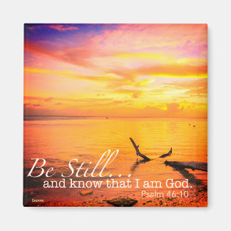 磁石が付いている マグネット