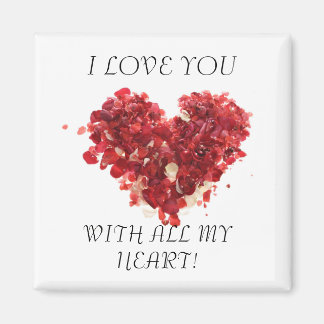 磁石が大好き マグネット