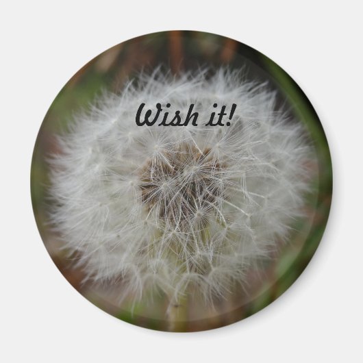 磁石が欲しい マグネット (正面)