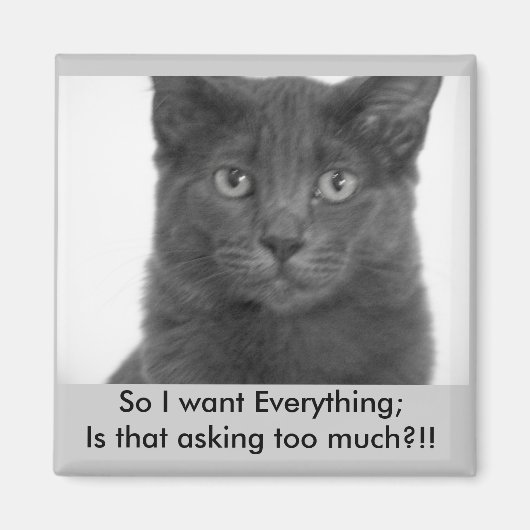 磁石が欲しい マグネット (正面)