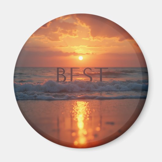 磁石だ マグネット (正面)