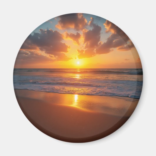 磁石だ マグネット (正面)