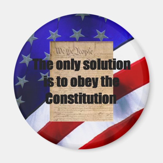 磁石と唯一のソリューション マグネット (正面)