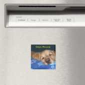 磁石に名前を付ける マグネット (インサイチュ (食洗機))