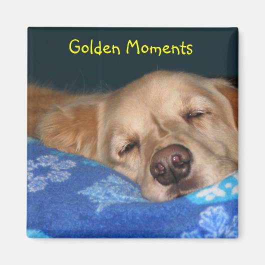 磁石に名前を付ける マグネット (正面)