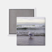 磁石のカモメ マグネット (正面/裏面)