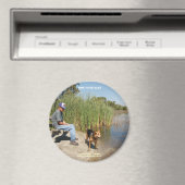 磁石の反射時間 マグネット (インサイチュ (食洗機))