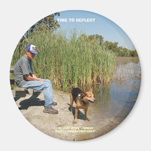 磁石の反射時間 マグネット (正面)