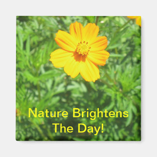 磁石の性質 マグネット