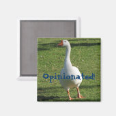 磁石の独断！ マグネット (正面/裏面)