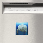 磁石の管理 マグネット (インサイチュ (食洗機))