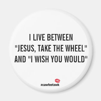 磁石の間に住んでいる マグネット