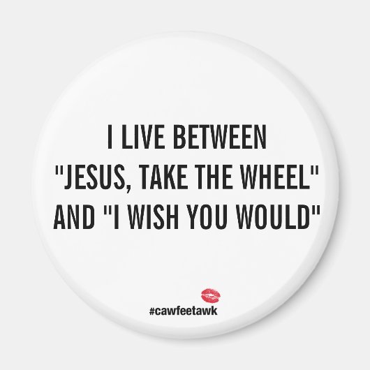 磁石の間に住んでいる マグネット (正面)