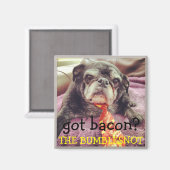 磁石は無い：得ベーコン？ マグネット (正面/裏面)