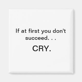 磁石もしは成功しない マグネット