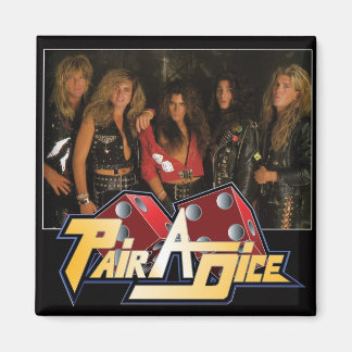 磁石をペアサイコロする マグネット