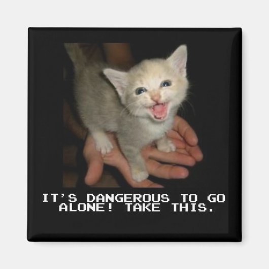 磁石を一人で行くのは危険だ マグネット (正面)