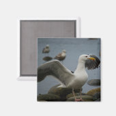 磁石を乱さない マグネット (正面/裏面)