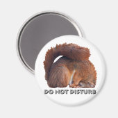 磁石を乱さない マグネット (正面/裏面)