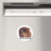 磁石を乱さない マグネット (インサイチュ (食洗機))