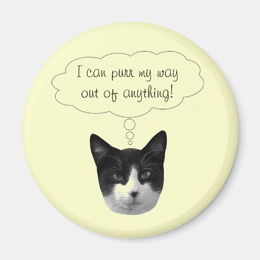 磁石を抜け出す マグネット (正面)