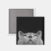 磁石を見上げる マグネット (正面/裏面)