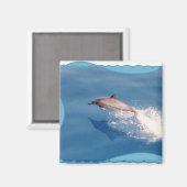 磁石イルカ マグネット (正面/裏面)