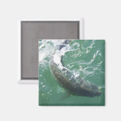 磁石テンプレート マグネット (正面/裏面)