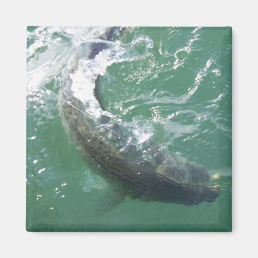 磁石テンプレート マグネット (正面)