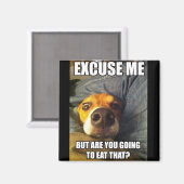 磁石付きことわざ マグネット (正面/裏面)