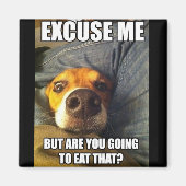 磁石付きことわざ マグネット (正面)