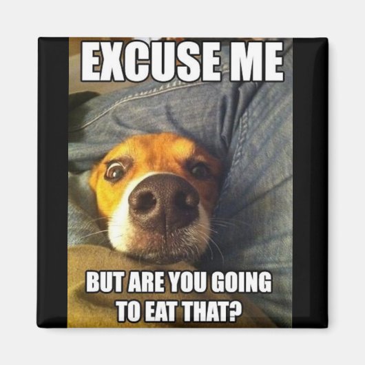 磁石付きことわざ マグネット (正面)