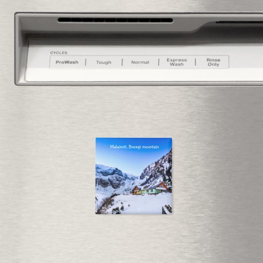 磁石倦怠感 マグネット (インサイチュ (食洗機))