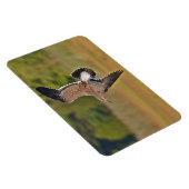 磁石式シーガル磁石 マグネット (右側)