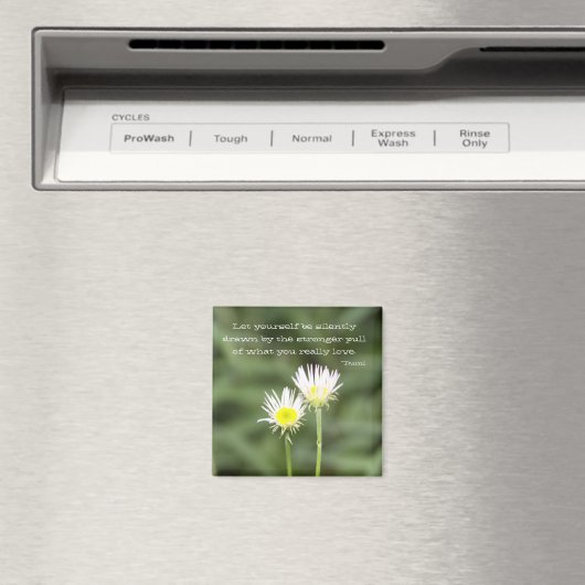 磁石描だ マグネット (インサイチュ (食洗機))