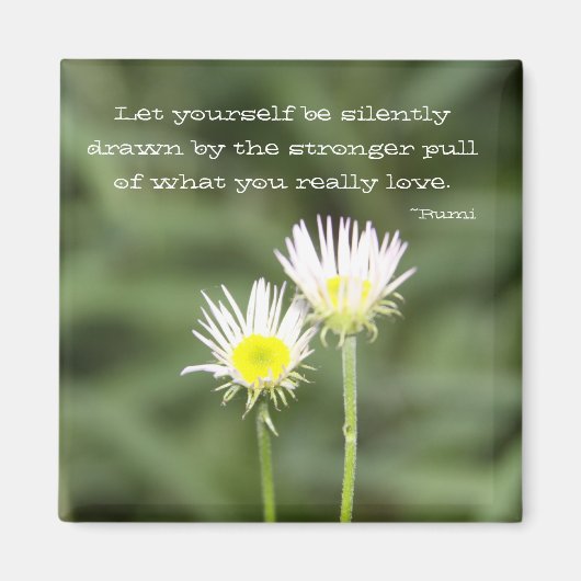 磁石描だ マグネット (正面)