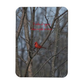 磁石深紅色は天使が近づくと現れる。 マグネット