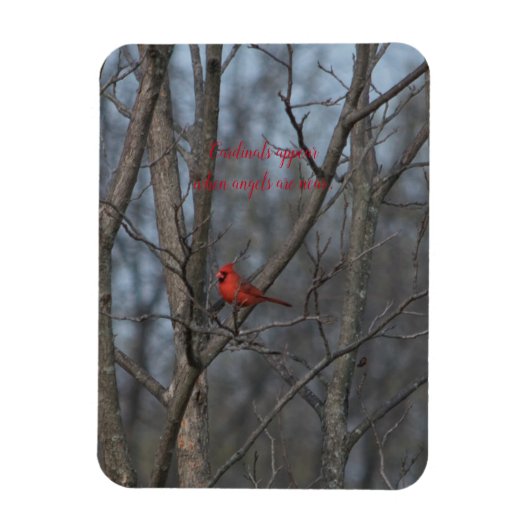 磁石深紅色は天使が近づくと現れる。 マグネット (縦)