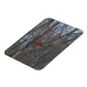 磁石深紅色は天使が近づくと現れる。 マグネット (左側)