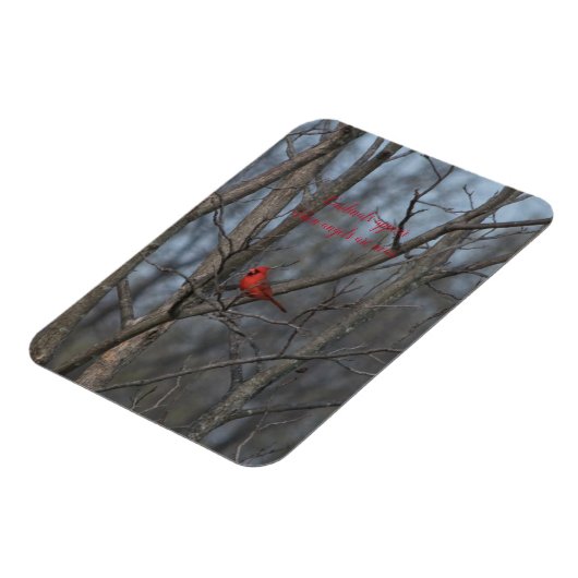 磁石深紅色は天使が近づくと現れる。 マグネット (左側)