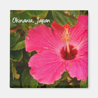 磁石花 マグネット