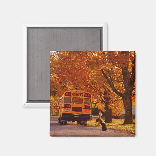 磁石 (正面/裏面)