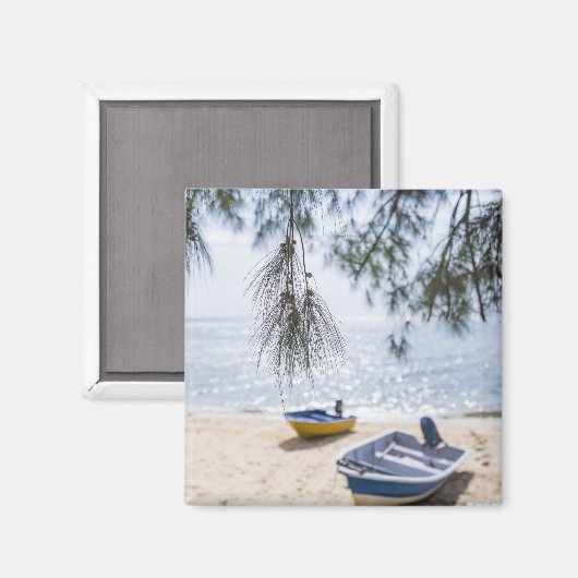 磁石 (正面/裏面)