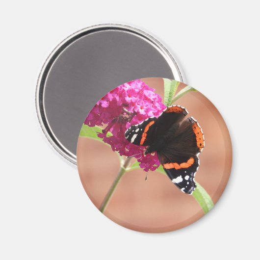 磁石 (正面/裏面)